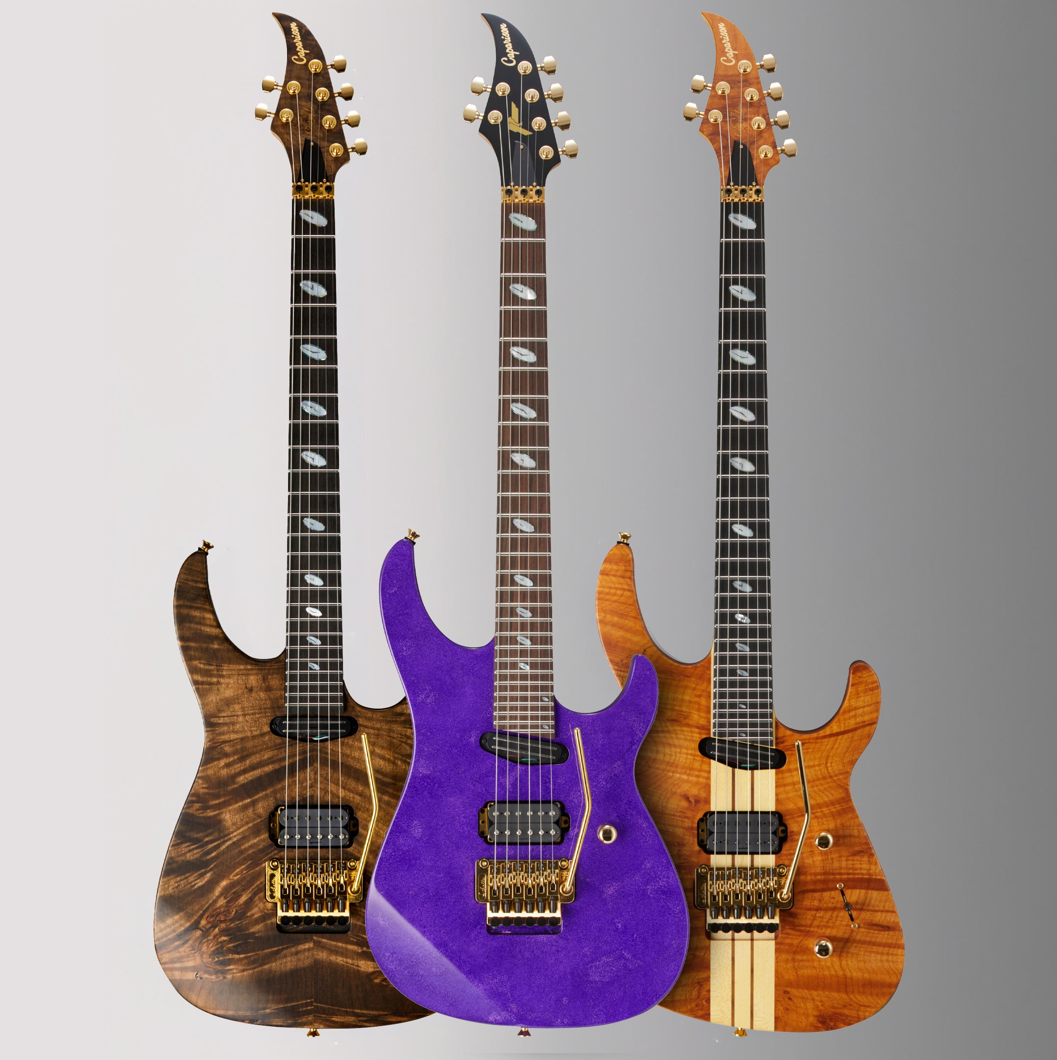 Caparison Guitars | Handcrafted in Japan