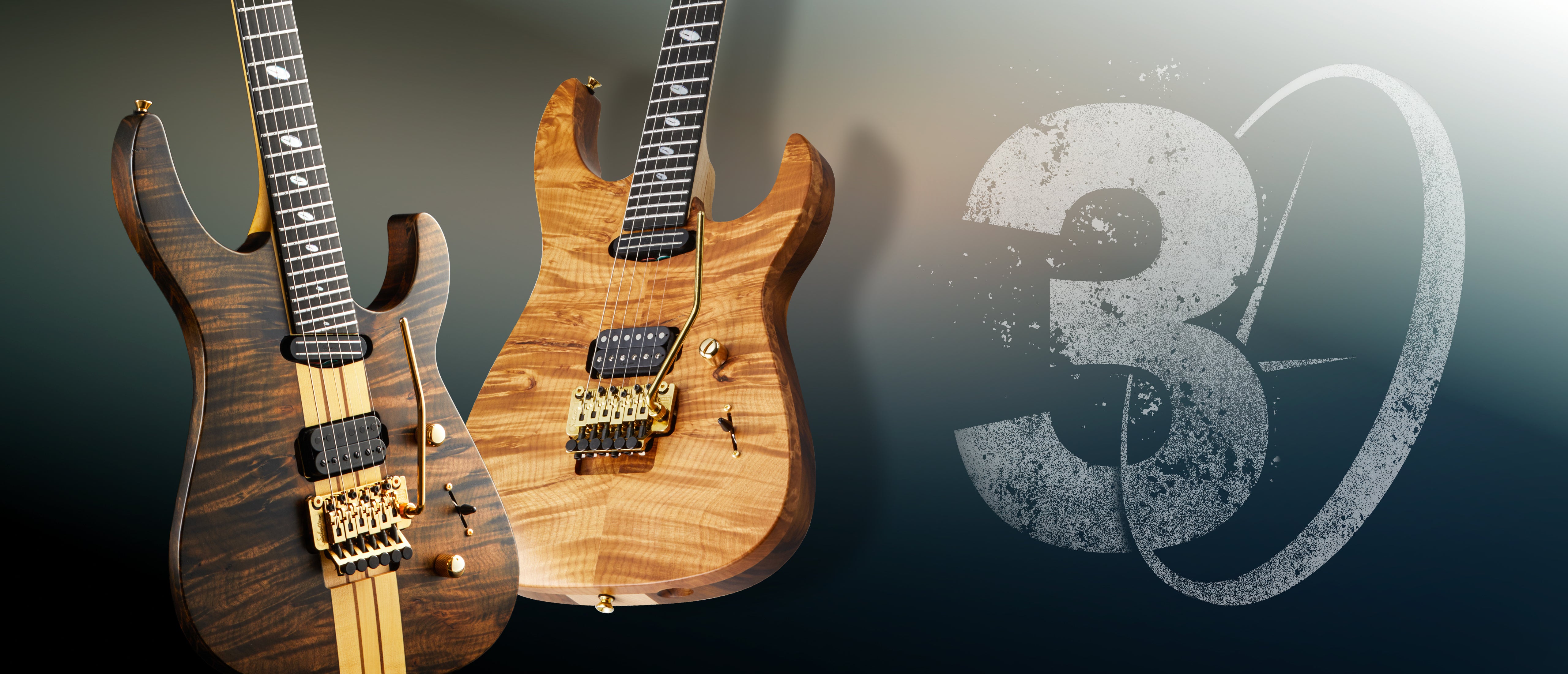 Caparison Guitars | Handcrafted in Japan