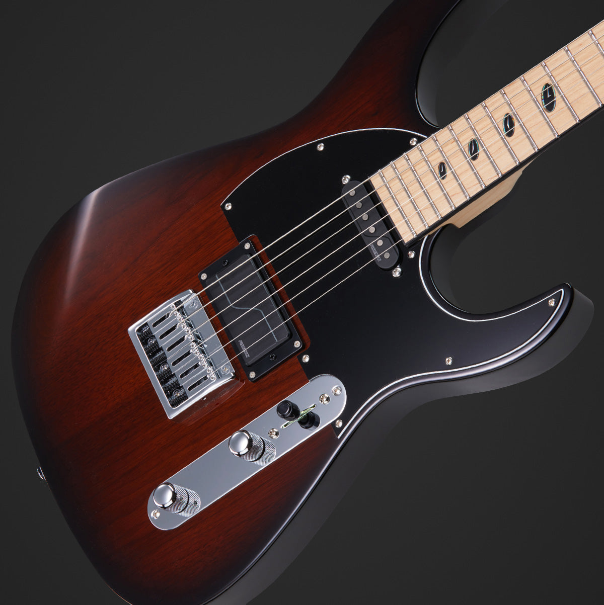 Dellinger-JSM V2, Joel Stroetzel Signature – Caparison Guitars