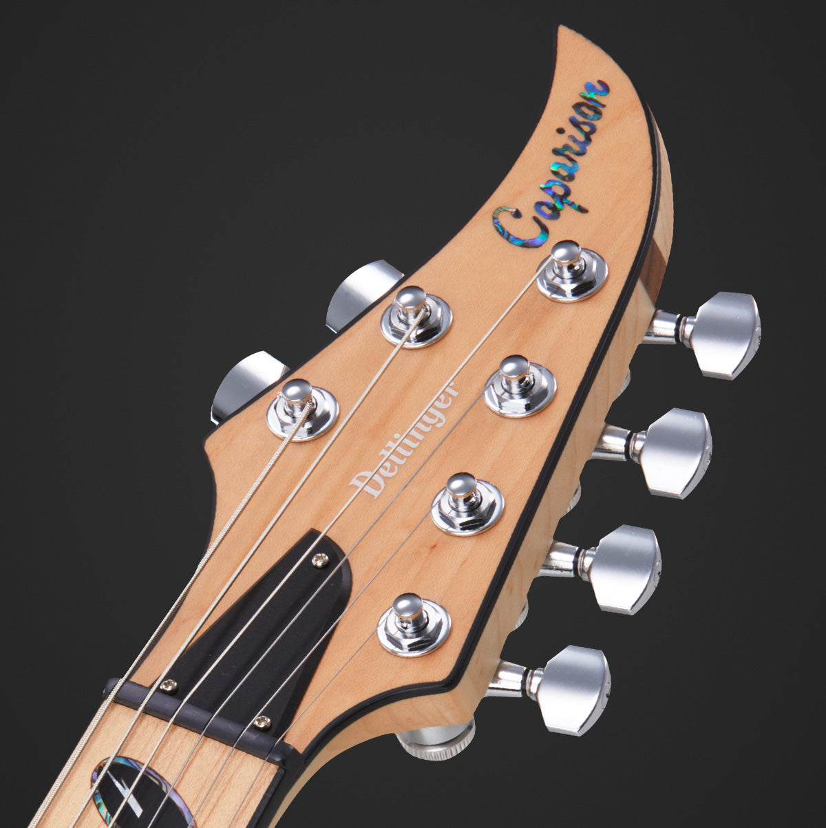 Dellinger-JSM V2, Joel Stroetzel Signature – Caparison Guitars