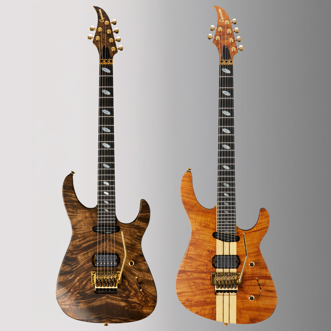 Caparisson Caparison Guitars | Handcrafted in Japan