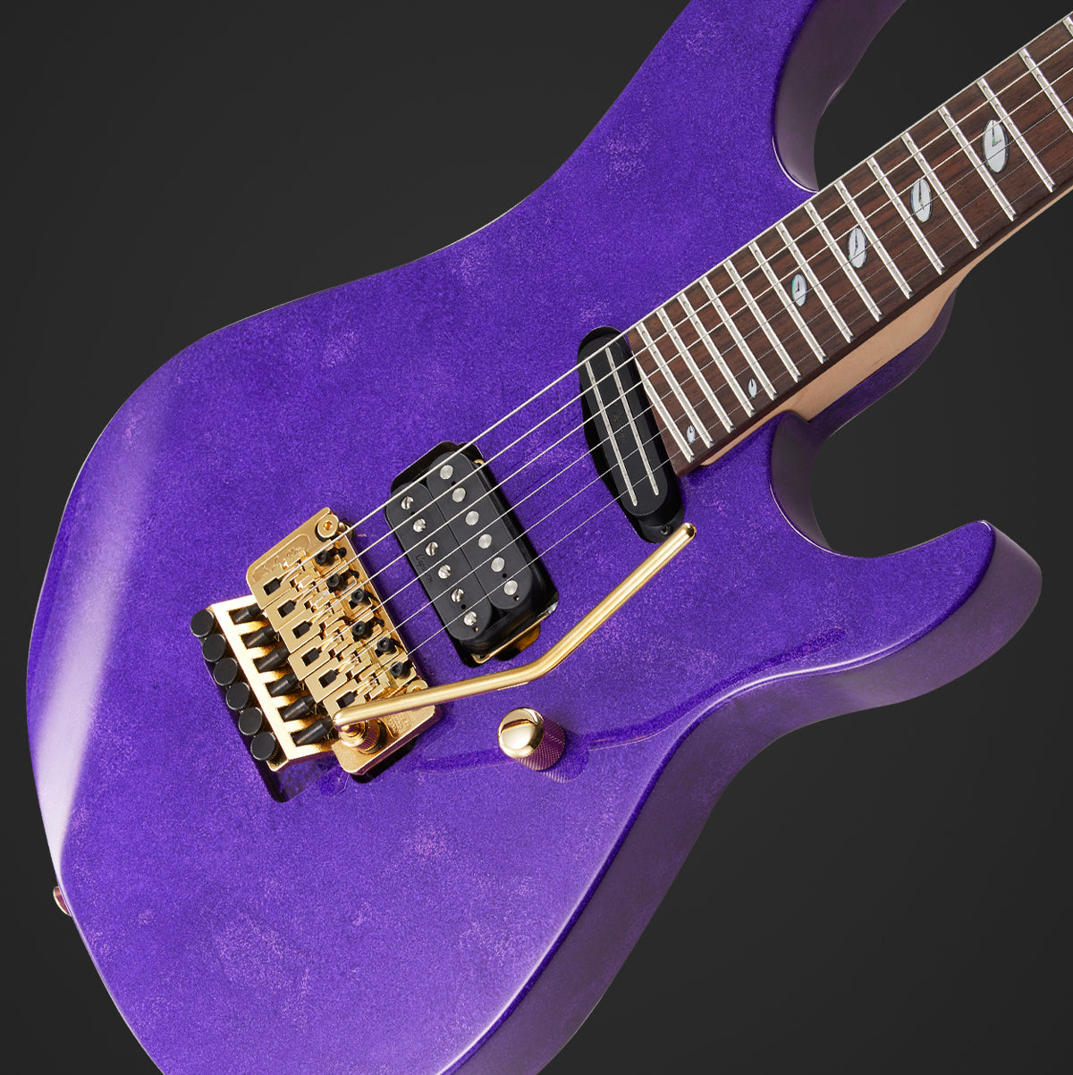 Caparison 初代Horus 美品 Horus-CS-LTD, Special Limited Edition – Caparison Guitars