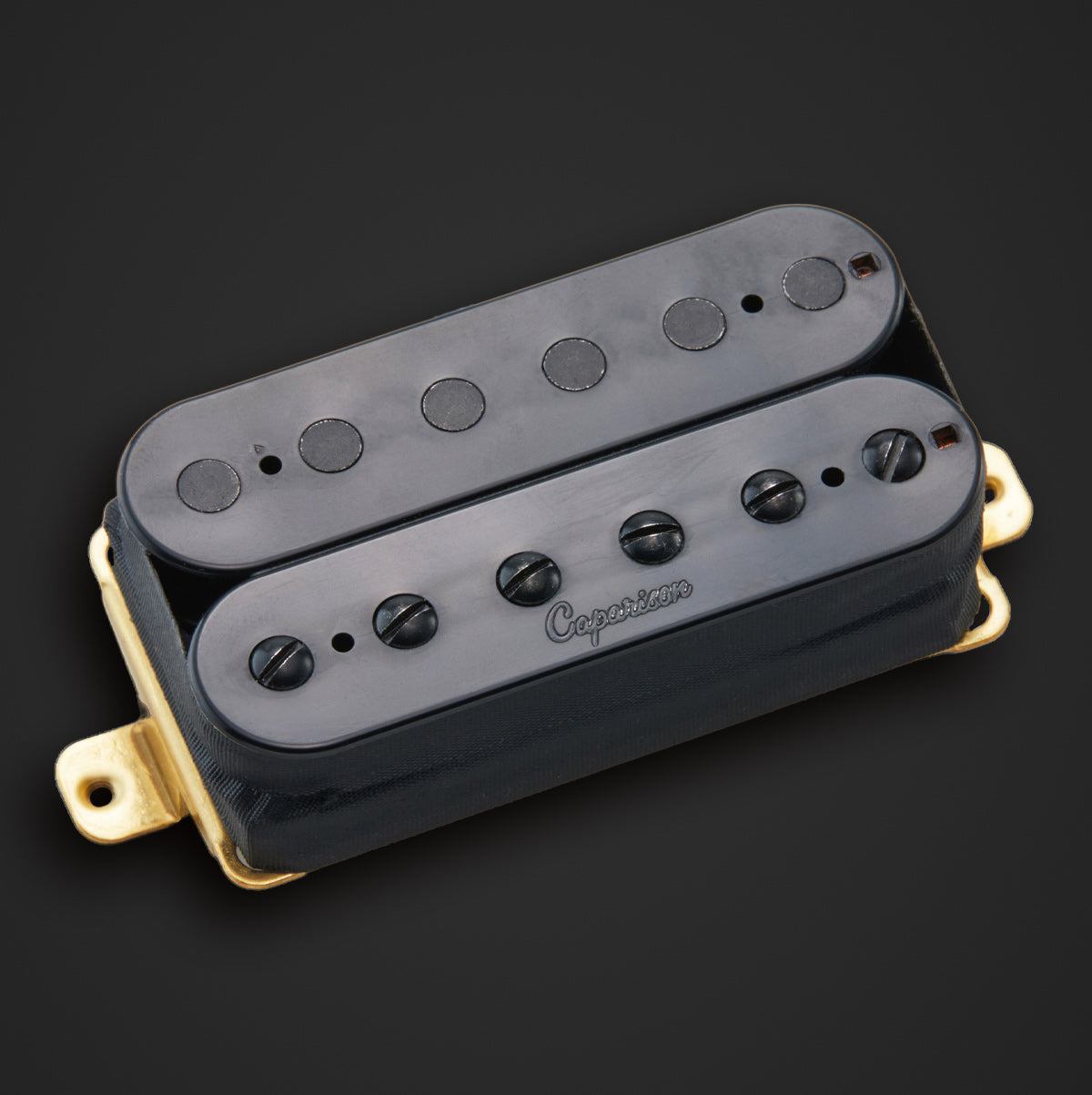 Pickups – Caparison Guitars