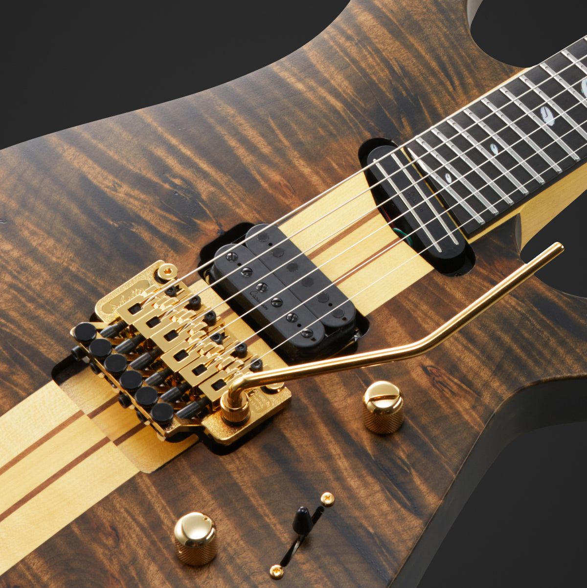 TAT Special-BM-CL, Custom Line – Caparison Guitars