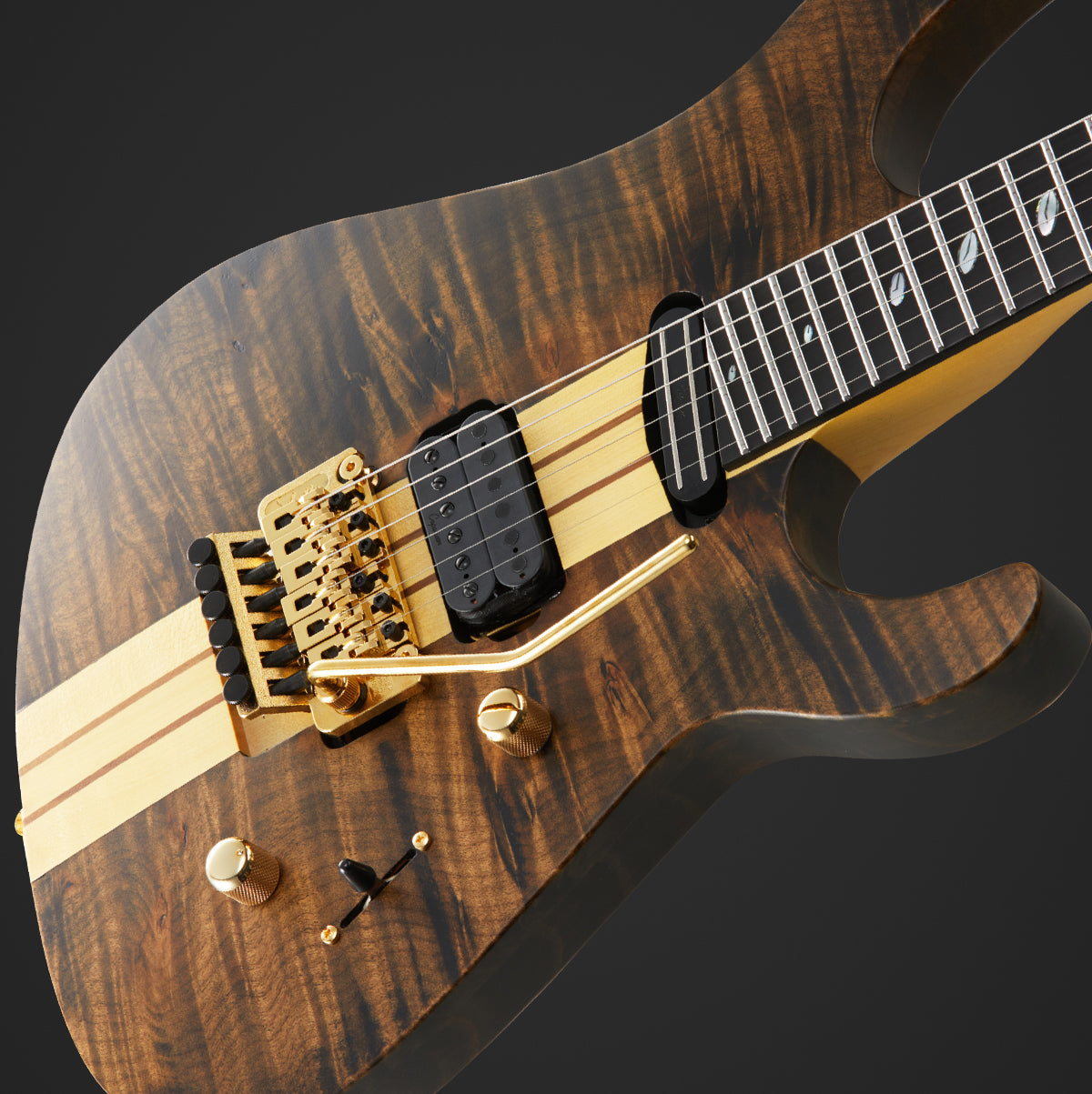 TAT Special-BM-CL, Custom Line – Caparison Guitars