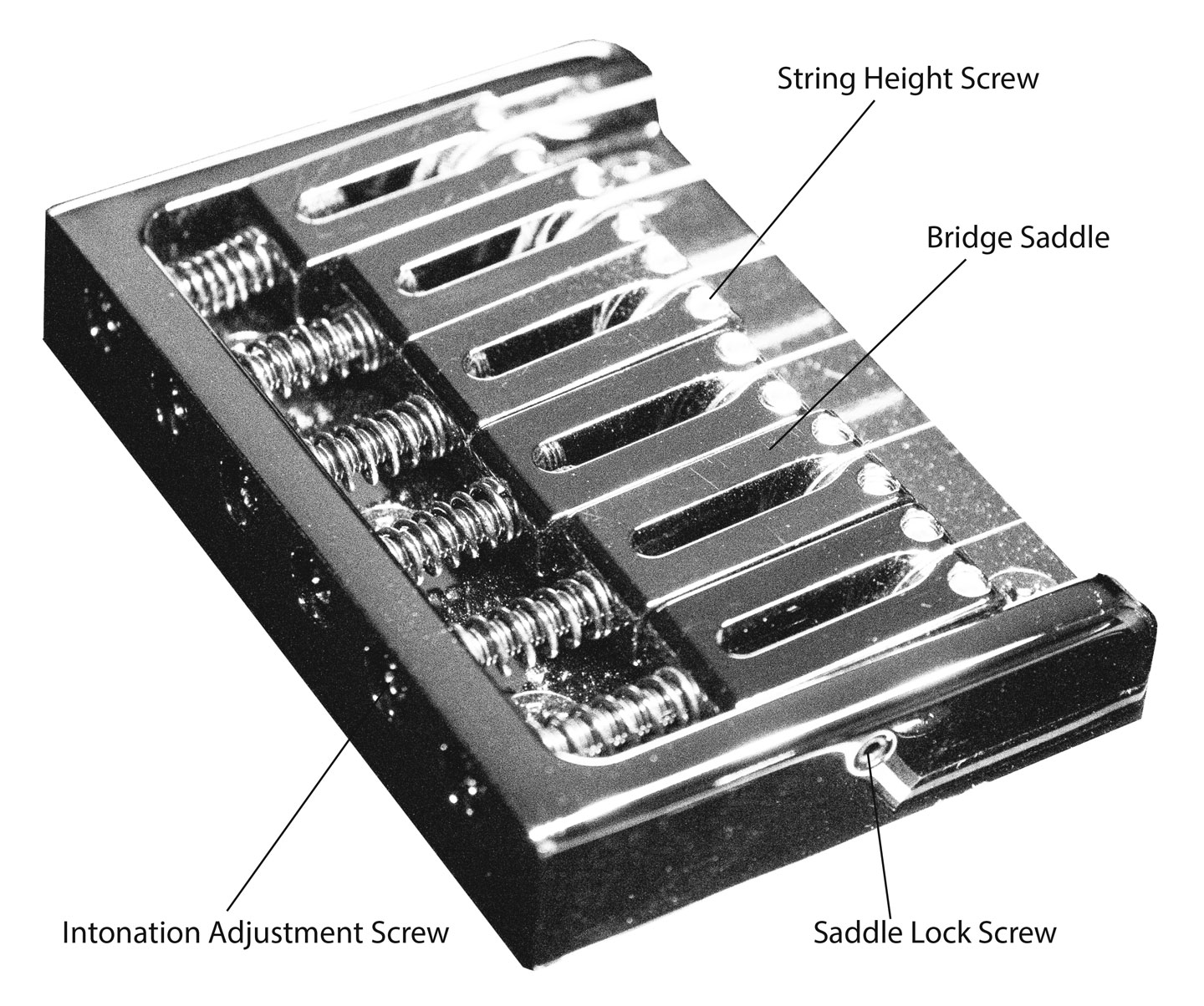 Caparison Fixed Bridge