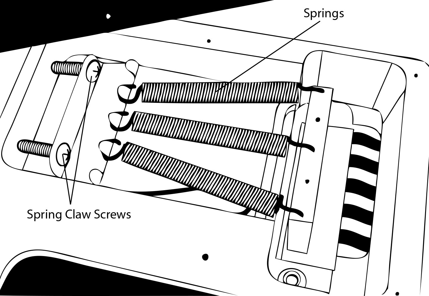 Caparison Tremeolo Spring Assembly Diagram