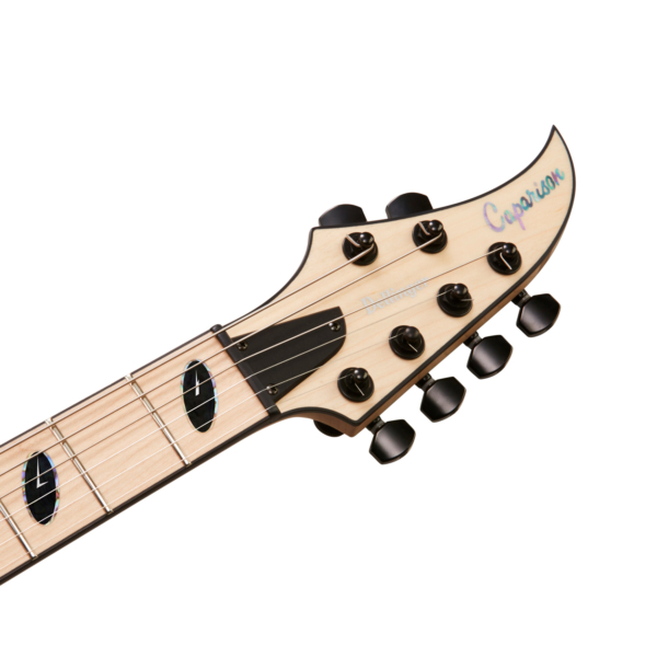 Caparison Dellinger-JSM Joel Stroetzel Signature