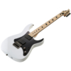 Caparison Dellinger-JSM Joel Stroetzel Signature, White