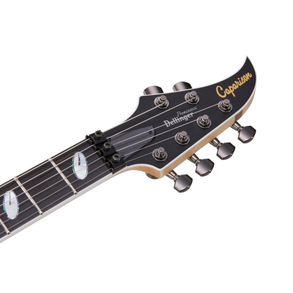 Caparison Dellinger Prominence