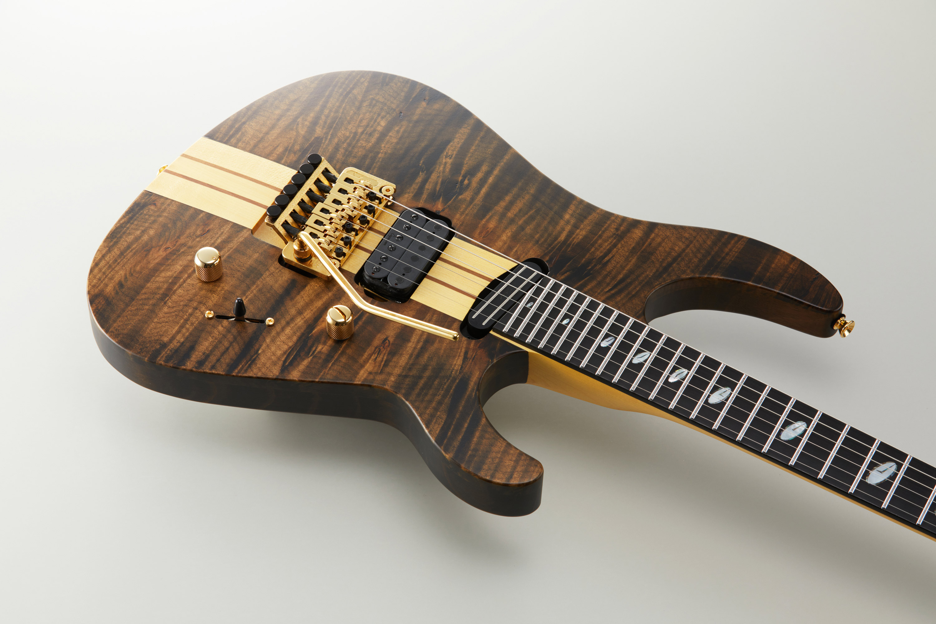 Custom Line TAT Special-BM-CL - Caparison Guitars